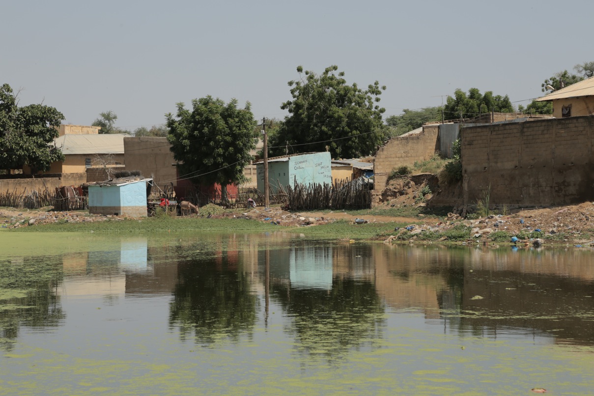 Eau stagnante à Waoundé, Sénégal